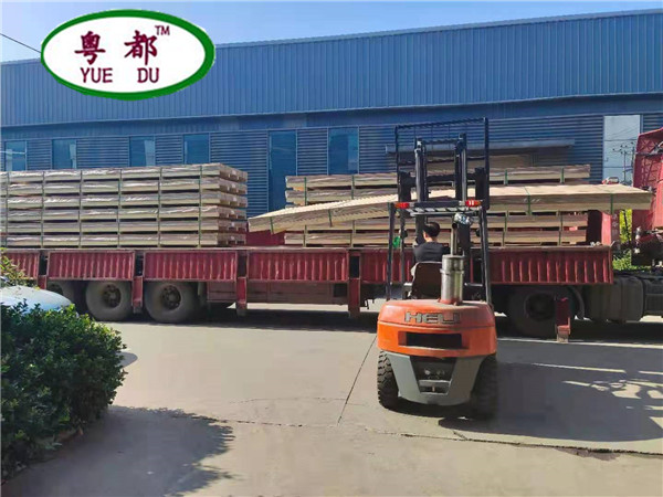 廠(chǎng)區(qū)實(shí)景